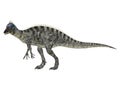 Suchomimus Royalty Free Stock Photo