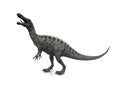 Suchomimus Royalty Free Stock Photo