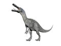 Suchomimus dinosaur - 3d render Royalty Free Stock Photo