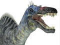 Suchomimus Dinosaur Head Royalty Free Stock Photo
