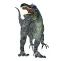 Suchomimus Dinosaur over White Royalty Free Stock Photo