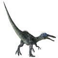 Suchomimus Dinosaur Tail Royalty Free Stock Photo