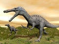 Suchomimus dinosaurs - 3D render Royalty Free Stock Photo