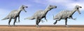 Suchomimus dinosaurs in the desert - 3D render Royalty Free Stock Photo