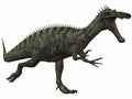 Suchomimus Tenerensis-3D Dinosaur