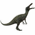 Suchomimus Tenerensis-3D Dinosaur Royalty Free Stock Photo