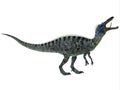 Suchomimus on White Royalty Free Stock Photo