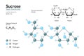 Sucrose. Cane Sugar. Disaccharide. Structural Chemical Formula and Molecule 3d Model. C12H22O11. Atoms with Color Coding. Vector