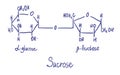 Sucrose chemical structure. Vector illustration Hand drawn