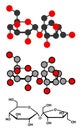 Sucrose sugar molecule. Also known as table sugar, cane sugar or beet sugar