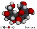 Sucrose sugar molecule. Molecular model. 3D rendering