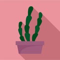 Suculent cactus pot icon, flat style
