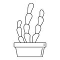 Suculent cactus pot icon, outline style
