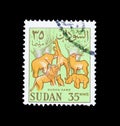 Cancelled postage stamp printed by Sudan, that shows Wild animals - Sudan games, circa 1962.