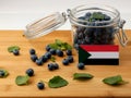 Sudan flag on a wooden plank with blueberries isolated on white Royalty Free Stock Photo