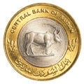 25 sudanese piasters coin Royalty Free Stock Photo