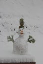 A funny snowman was made of snow Royalty Free Stock Photo