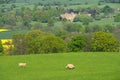 Sudeley castle Royalty Free Stock Photo