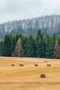 Sudetes, Table Mountains, mountain landscape with high rocks, view from the hiking trail with a meadow in front of the forest