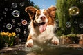 sudsy dog playing with floating bubbles