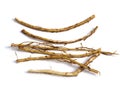 Suesswood  Glycyrrhiza glabra  oots Royalty Free Stock Photo