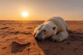 The last breath of a polar bear in the desert: an image that denounces climate change,A polar bear dies in the desert, Generative Royalty Free Stock Photo