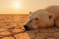 The last breath of a polar bear in the desert: an image that denounces climate change,A polar bear dies in the desert, Generative