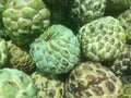 Sugar Apple or Atis Royalty Free Stock Photo