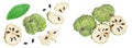 Sugar apple or custard apple isolated on white background . Exotic tropical Thai annona or cherimoya fruit. Top view Royalty Free Stock Photo