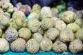 Sugar-apple fruit Annona squamosa on table for sell in market. Royalty Free Stock Photo