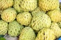 Sugar apple group for sale