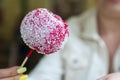 Sugar apple with red icing. Sweet candy Apple Royalty Free Stock Photo