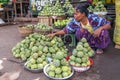 Sugar apple for sale at market, near Bagan, Myanmar Burma Royalty Free Stock Photo
