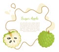 Sugar-Apple, Sweetsop Custard Apple Isolated Poster