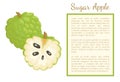 Sugar-Apple, Sweetsop Custard Poster Frame Text