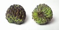 Sugar apple on a white background