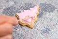 Sugar baker work step, pink royal icing or frosting on a christmas tree shaped cookie Royalty Free Stock Photo