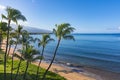 Sugar Beach Kihei Maui Hawaii USA Royalty Free Stock Photo