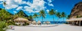 Sugar beach Saint Lucia , a public white tropical beach with palm trees and luxury beach chairs on the beach of the