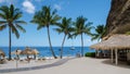 Sugar beach Saint Lucia ,white tropical beach palm trees and luxury beach chairs St Lucia Caribbean Royalty Free Stock Photo