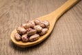 Sugar Bean legume. Spoon and grains over wooden table. Royalty Free Stock Photo