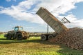 A sugar beet harvest in progress - Tractor and trailer unload sugar beets