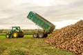 A sugar beet harvest in progress - Tractor and trailer unload sugar beets Royalty Free Stock Photo