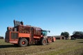 Sugar beet harvester Royalty Free Stock Photo