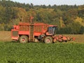 Sugar beet harvester Royalty Free Stock Photo
