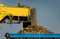 Sugar beet loading Royalty Free Stock Photo