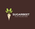 Sugar beet plant logo design. Sugarbeet root vector design Royalty Free Stock Photo