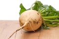 Sugar beet plant on the table Royalty Free Stock Photo