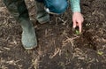 human hand,sugar beet sprout agronomist checks the quality of seed germination