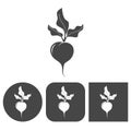 Sugar beet - vector icon Royalty Free Stock Photo